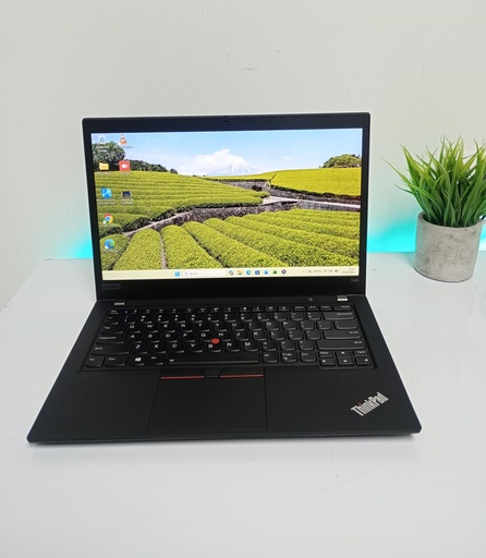 Lenovo T495